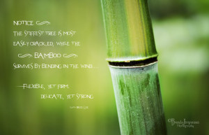 Ashleyls17 Winter's Child