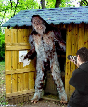 Finding Bigfoot Pictures...