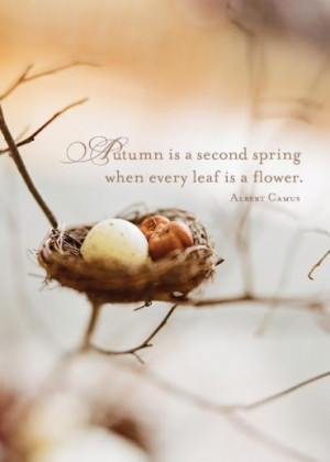 Autumn is a second spring when every leaf is a flower.