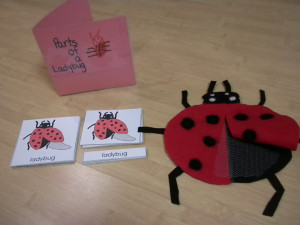 Here is the Ladybug I made along with the 3 part cards.