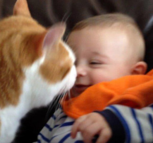 Animal Lovers Teaching Children to Care for Animals from an Early Age