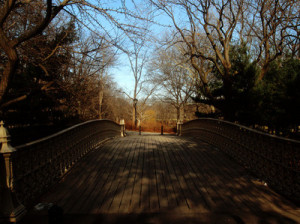 bridge-central-park-new-york-park-sky-trees-Favim.com-62866.jpg
