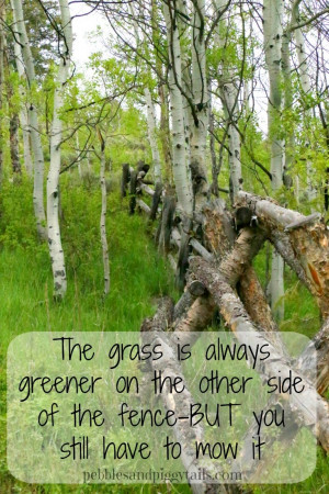 The grass is always greener on the other side of the fence, BUT you ...