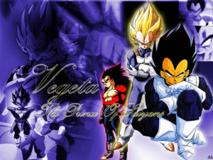 Related Pictures vegeta 5 wallpaper