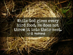 Helping others help themselves.