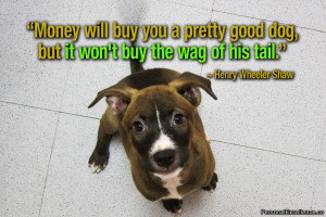 Money will buy you a pretty good dog, but it won’t buy the wag of ...