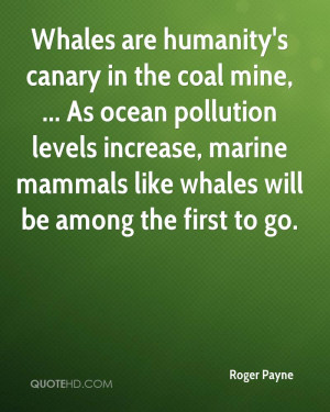Whales are humanity's canary in the coal mine, ... As ocean pollution ...
