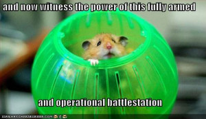 album funny pictures deathstar hamster