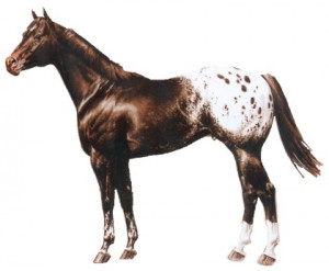 Get Quotes on your Social Sites