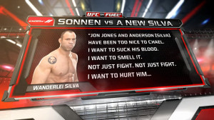 Report: Chael Sonnen Sucker-Punched While Fighting With Wanderlei ...