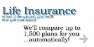 Life Of Vermont Insurance