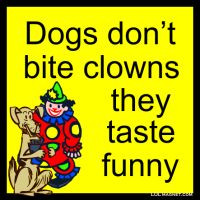 41 dogs clowns