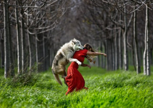 White Wolf : Women Who Run With the Wolves (Video)