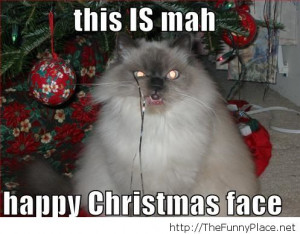 Grumpy Cat Sayings Funny