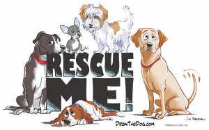 Race for Their Lives 2012 Rescue Story Contest