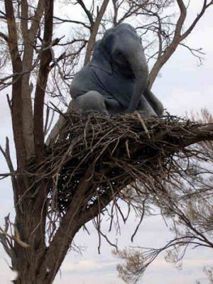 Funny Elephant Pics : Jumbo was opening a branch office for the circus ...