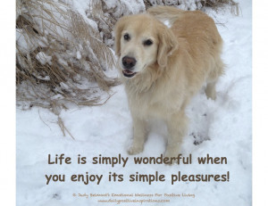 Enjoy life's simple pleasures! For more Daily Positive Inspirations ...