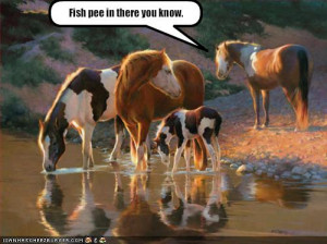 Funny Horse Pics is rare collection of funny or strange pictures.View ...