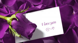... You Quotes Flower Background HD Wallpaper I Love You Quotes Flower