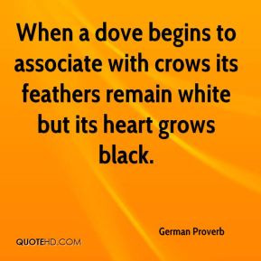 Crows Quotes