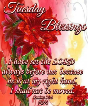 Tuesday Blessings...