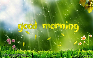 Good Morning Wishes || sms,images,messages,quotes,Shyari: