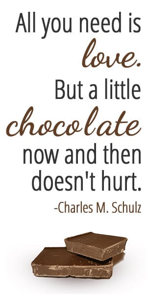 sayings about chocolate chocolate sayings chocolate sayings chocolate ...