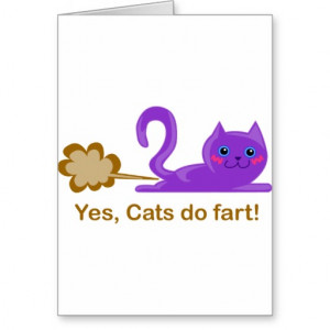 funny cats that fart funny birthday slogans for kids short funny ...