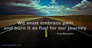 Life Quote: We must embrace pain and..
