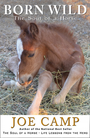 Born Wild – The Soul of a Horse – Personally Inscribed