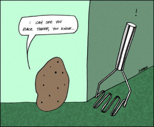 You can learn more about Jennifer's artistic and culinary adventures ...