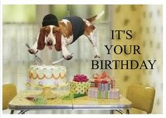 birthday #card for a #dog lover. Hey they don't need to be to enjoy ...