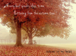 Fall Season Quotes Tumblr Autumn · season