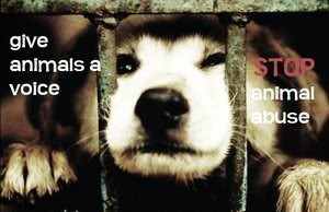 Lets give animals a voice.