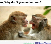 monkey-are-smart-smart-quote-monkey-quote-funny-monkey-565814.jpg