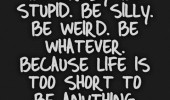 be-crazy-stupid-weird-happy-quotes-sayings-pictures-170x100.png