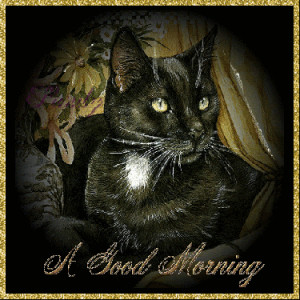 Good Morning Black photo Good-Morning-Cat.gif