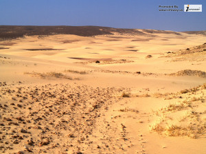 Sahara Desert Sand