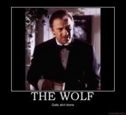 The Wolf solves all major issues for Marsellus Wallace whom is a big ...