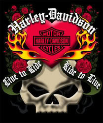 Harley Roses Skull Image