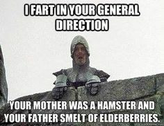 Monty Python and the Holy Grail. I enjoy quoting the Insulting ...