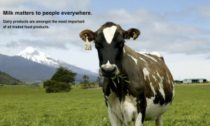 ... dairy commodities: Whole Milk Powder (WMP), Skim Milk Powder (SMP