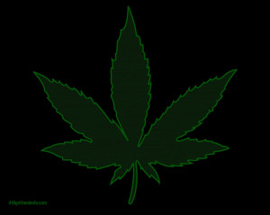 pot leaf Image