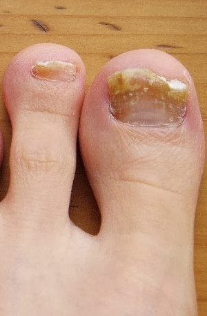 Pin it Like Visit Site