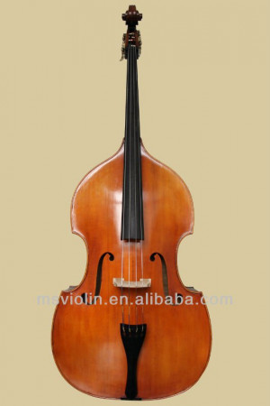 bass string instrument