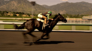 ... thoroughbred race horse michael mann david milch blood horse blood