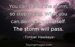 Calm Yourself, The Storm Will Pass: Quote About Calm Yourself The ...