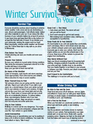 winter survival in your car by