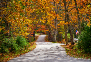 Best Fall Drives in the United States