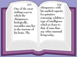 book2 Essay examples with quotations uncategorized